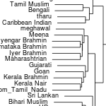 Reference 3 Admixture Group Dendrogram without Pan-Asian data